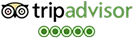 trip-advisor-icon