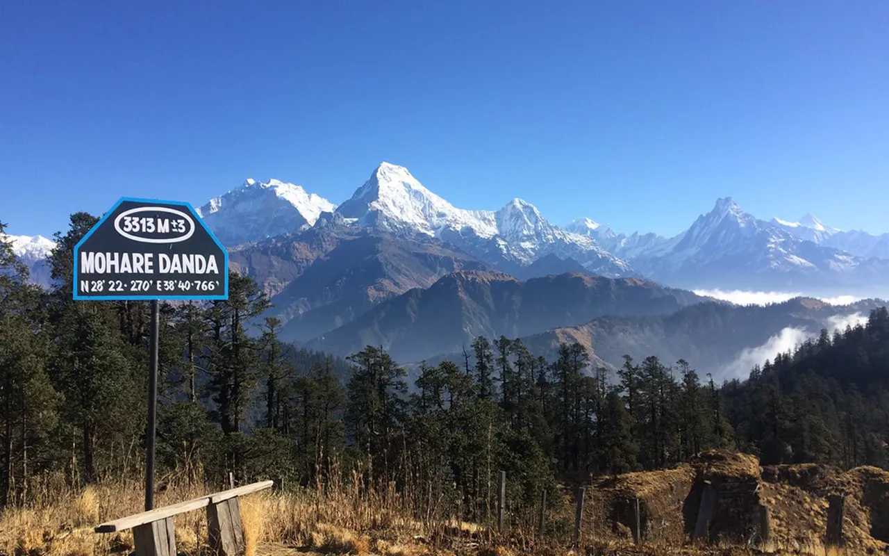 Mohare Danda Forest Trail