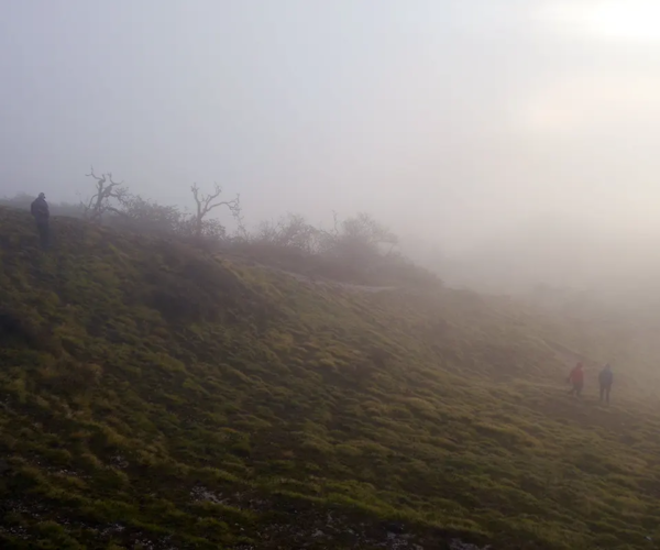 Mulde View Point Trek