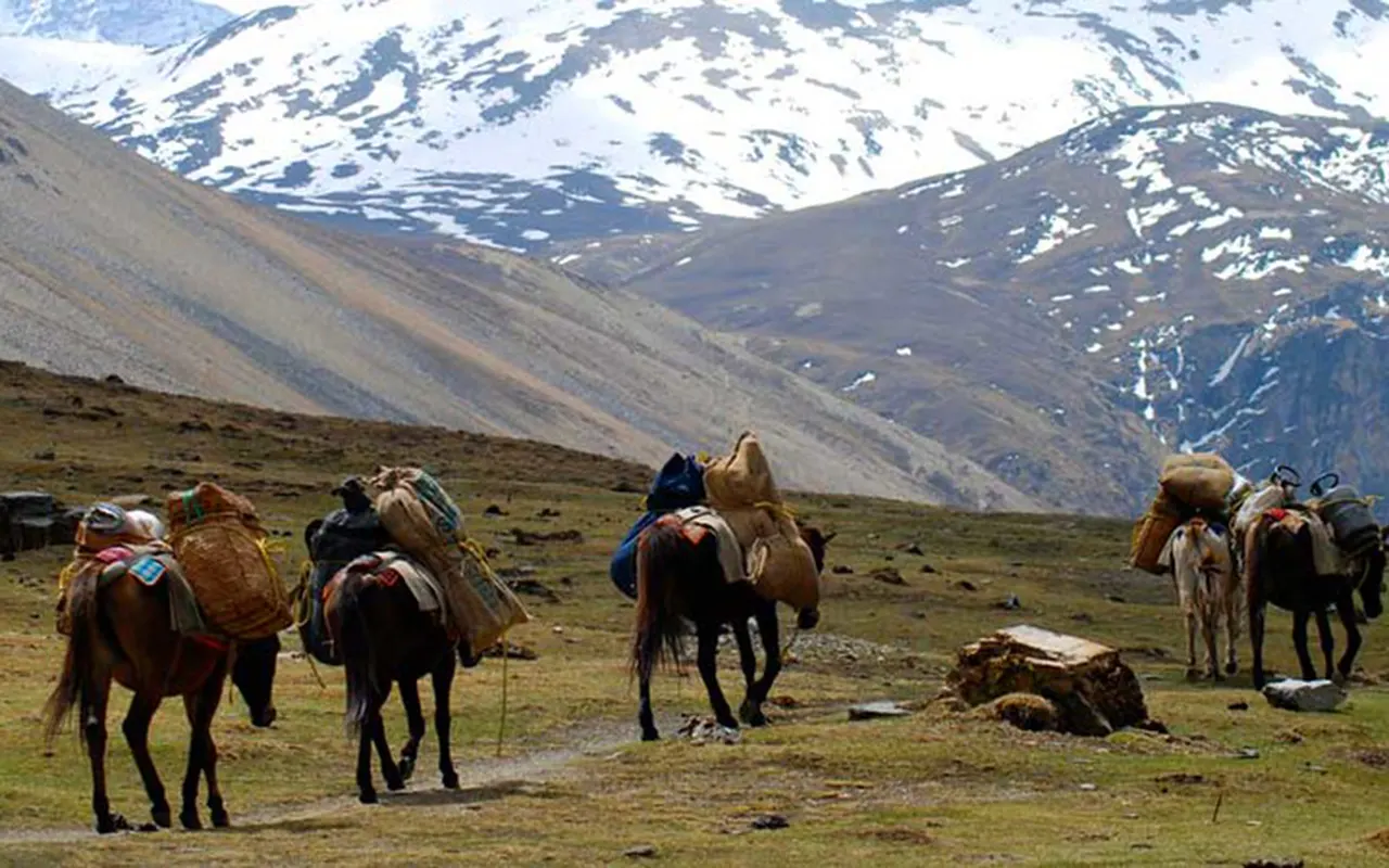 Bhutan Tour