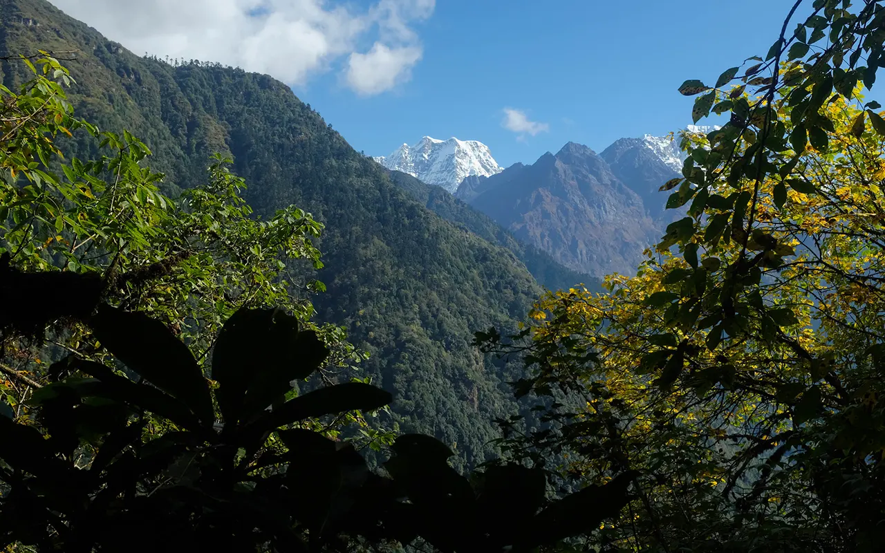 Mera Peak Pangom Adventure